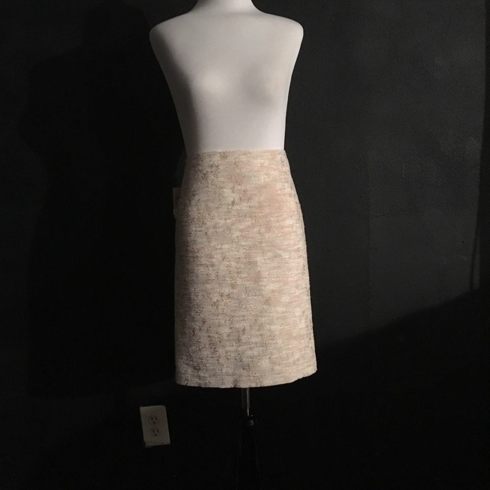 Ann Taylor Skirt